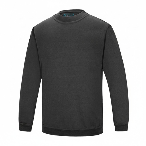 [SS004] AQUA LONG SLEEVE SWEATSHIRT